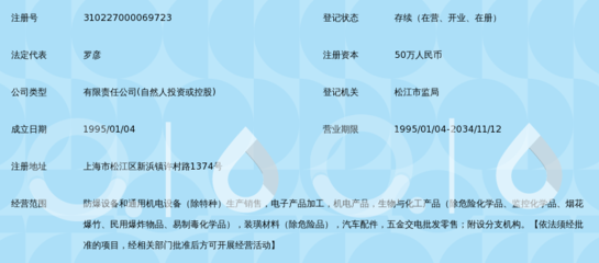 上海亿思科技实业与上海信息科技的协同发展探析